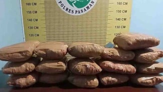 Polisi Tangkap Kurir 16 Paket Ganja Lintas Daerah Berusia Remaja di Jalinsum Pasaman