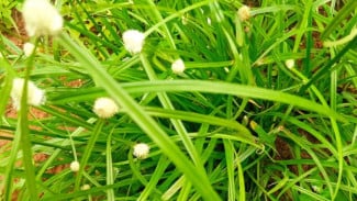 img_title