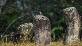 Menhir Maek, Negeri 1.000 Menhir yang Menyimpan Jejak Peradaban Megalitikum