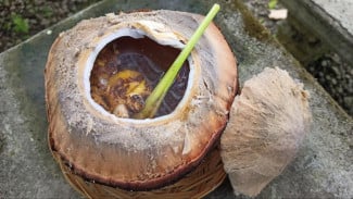 img_title