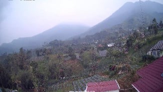 img_title