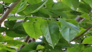 img_title