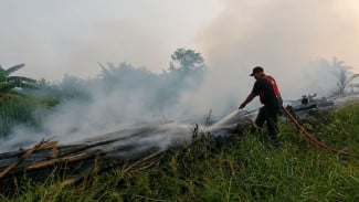 Kesiapsiagaan Dini, Dharmasraya Siaga Penuh Hadapi Karhutla