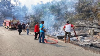 Karhutla Nyaris Ancam Candi Pulau Sawah, Damkar dan Tim Gabungan Dharmasraya Gerak Cepat Padamkan Api