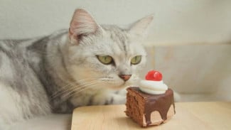 img_title