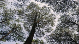 img_title