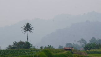 img_title