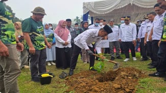Pulihkan Tutupan Lahan Kritis, Solok Selatan Dapat Alokasi Rehabilitasi Hutan Seluas 75 Hektar