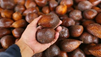 img_title