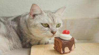 img_title