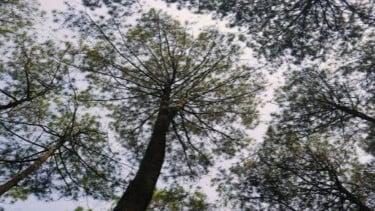 img_title
