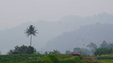 img_title