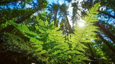 img_title