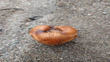 img_title