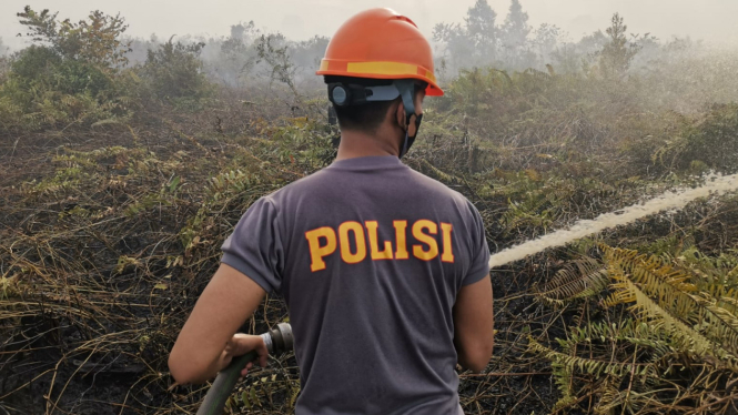 Lahan gambut seluas 2 hektare di Kabupaten Mempawah terbakar