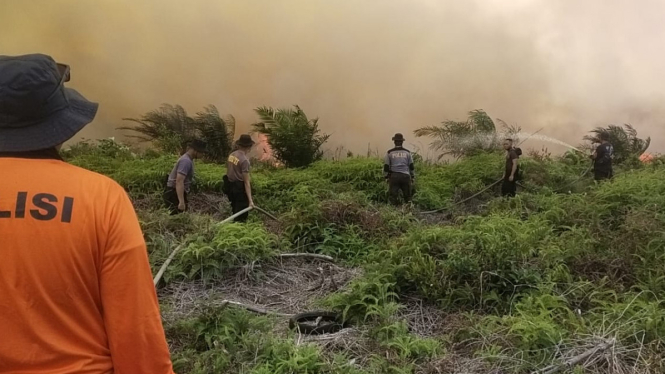 Kebakaran lahan gambut di Kabupaten Mempawah, Kalimantan Barat