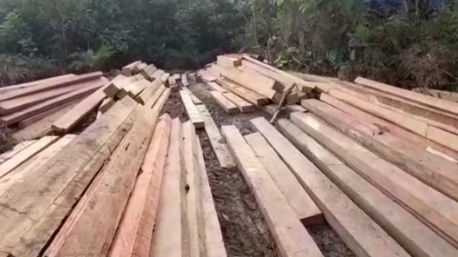 Tumpukan kayu berbagai jenis di Kecamatan Simpang 2 Ketapang