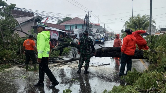 Petugas BPBD Padang, bersama TNI-Polri saat mengevakuasi pohon tumbang