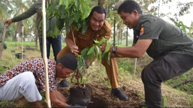 Sekretaris Daerah Kota Pariaman Yota Balad menanam pohon