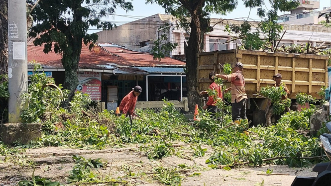 Petugas DLH Padang saat memangkas pohon