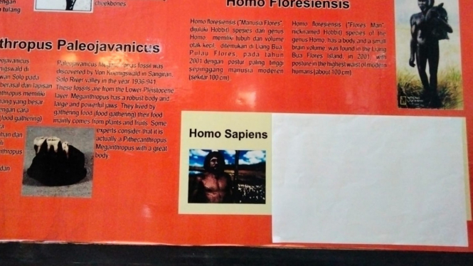 Bagian informasi Homo Sapien yang sudah ditutup dengan kertas putih