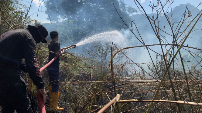 Petugas Damkar Lima Puluh Kota saat memadamkan api di lahan warga