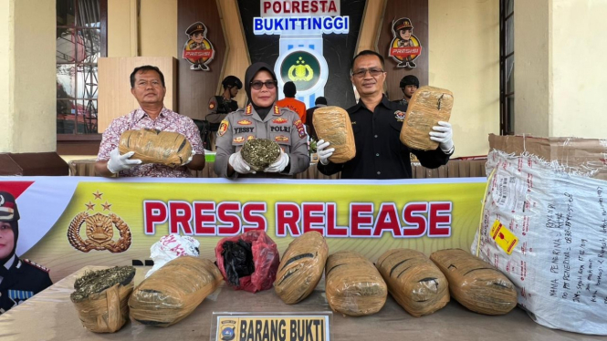 Kapolresta Bukittinggi memperlihatkan barang bukti ganja