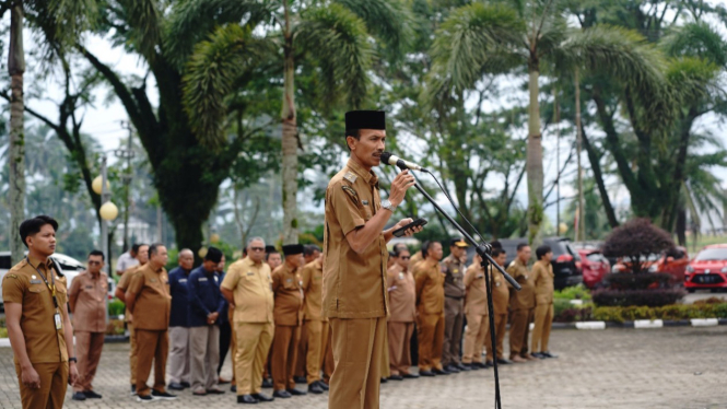 Wakil Bupati Solok Selatan, Yulian Efi