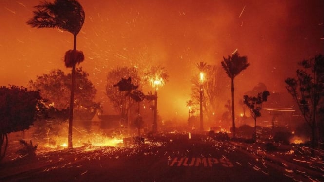 Kebakaran Hutan Meluas di Wilayah Los Angeles