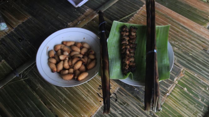 Kudapan Batra, Ulat Sagu Mentawai