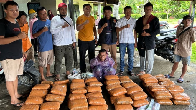 Timsus Ditresnarkoba Polda Sumbar gagalkan pengiriman 82 kg ganja