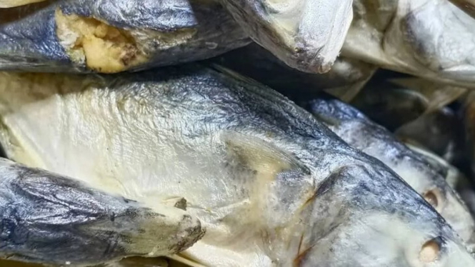 Ilustrasi Ikan Asin