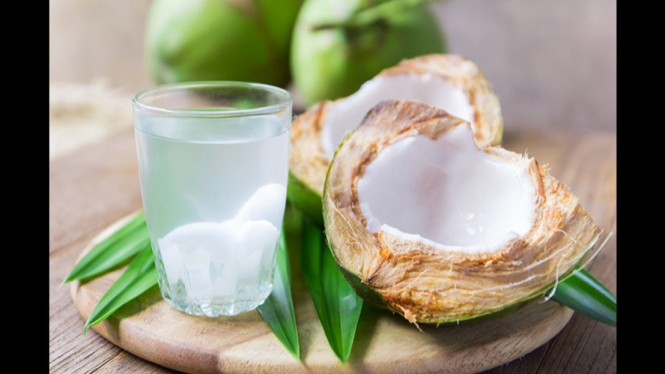 Kelapa Muda