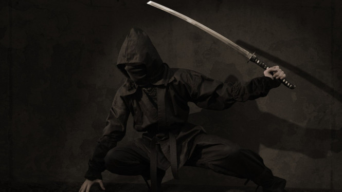 Ninja Samurai