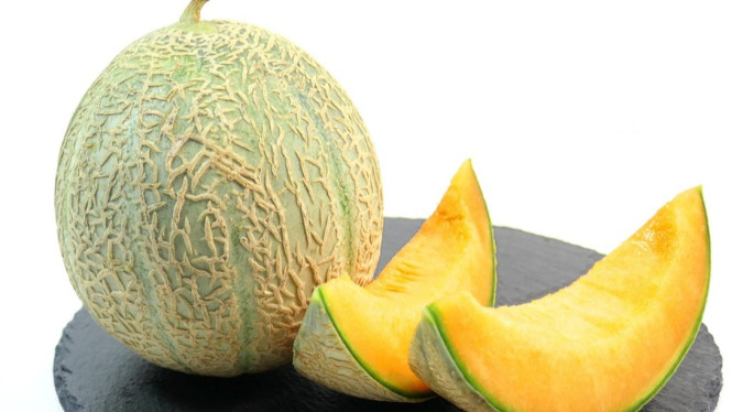 Buah Melon