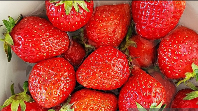 Stroberi