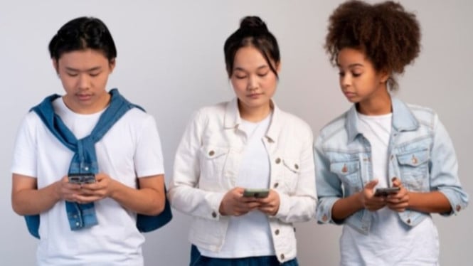 Cyberbulling