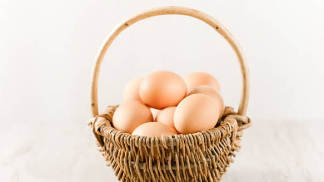 Telur