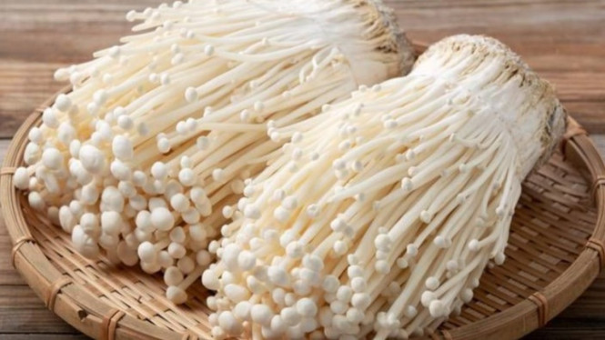 Jamur Enoki