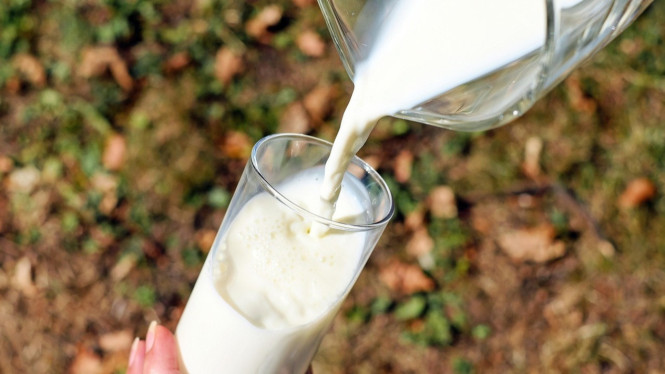 Susu