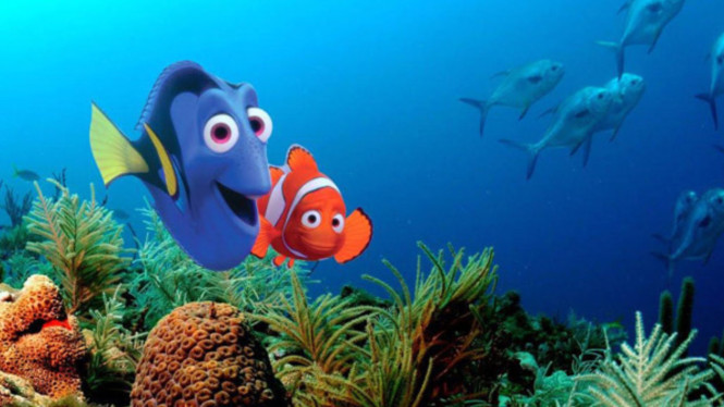 Finding Nemo