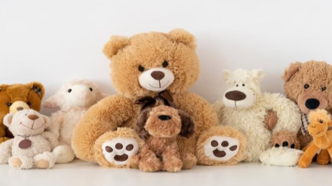 Teddy Bear