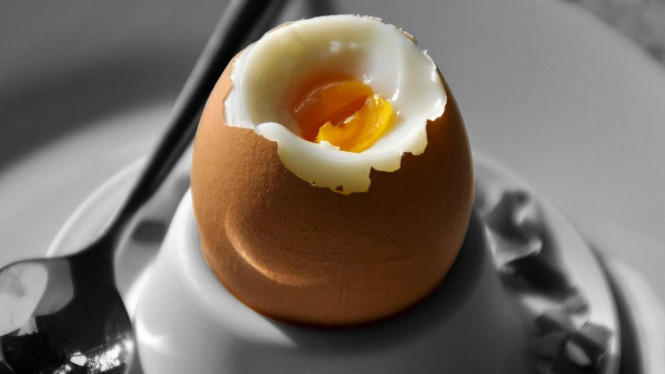Telur Rebus