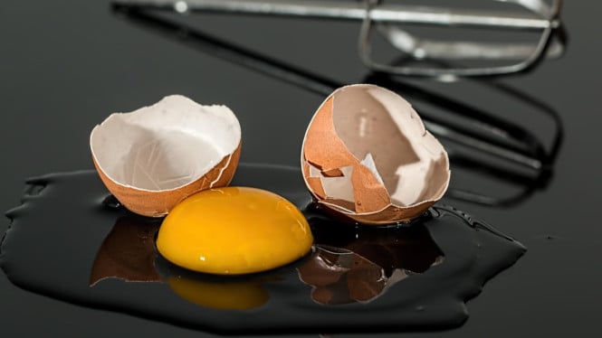 Putih Telur