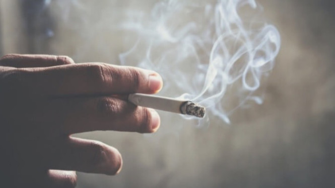 Rokok