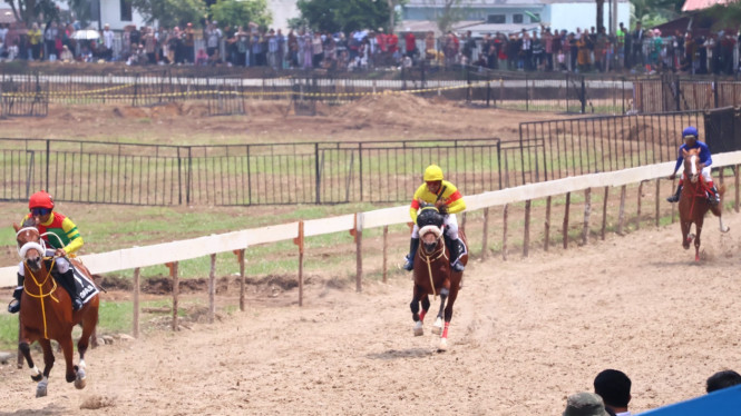Indonesia's Horse Racing Cup II Sukses Digelar di Payakumbuh, 40 Ribu Penonton Banjiri Gelanggang Kubu Gadang
