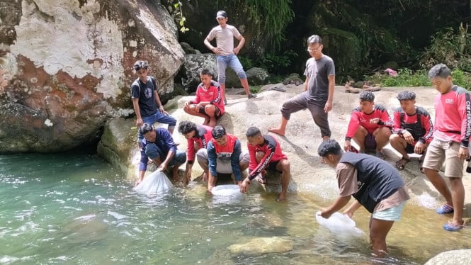 Pelepasan Benih Ikan Garing di Sungai Lubuk Hitam