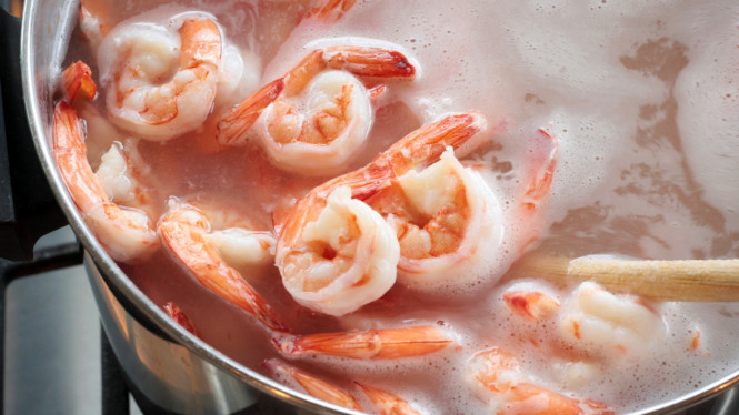 Ilustrasi merebus udang