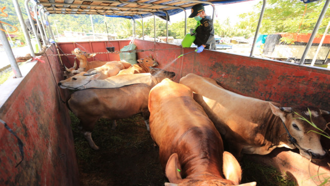 Penyemprotan Cairan Disinfektan