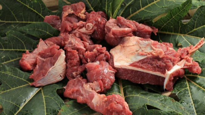 Ilustrasi daging kurban